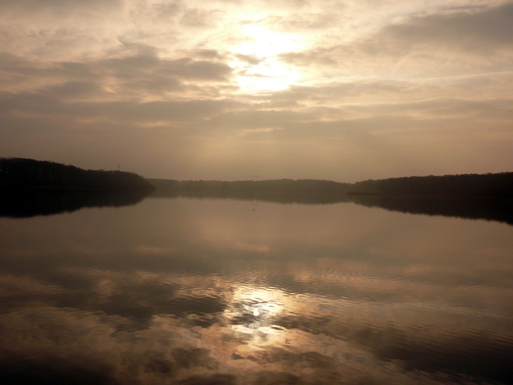 2012-02-Ornithologie à St Hubert